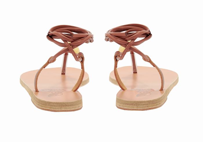 Sandales De Gladiateur Ancient Greek Sandals Persephone   | BGG-7233050